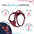 Halti Anatomy Harness X-Large Magenta x 1