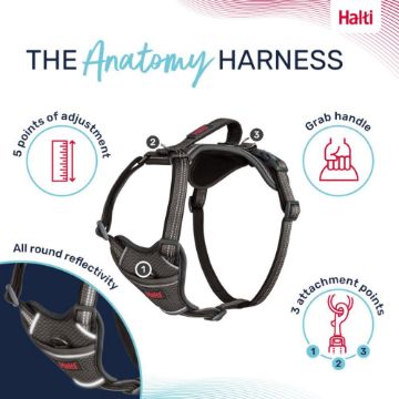 Halti Anatomy Harness X-Small Grey x 1