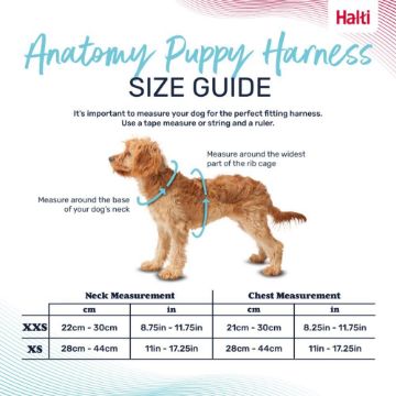 Halti Anatomy Puppy Harness X-Small Grey x 1