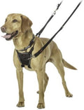 Halti No Pull Harness Medium x 1
