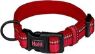 Halti Comfort Collar Medium 35-50cm Red x 1
