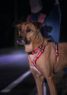 Halti Walking Harness Medium 56-76cm Red x 1