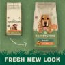 Harringtons Adult Dog Chicken & Rice 1.7kg