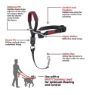 Halti Optifit Headcollar Black Medium x 1