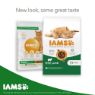 Iams Cat Lamb 2kg
