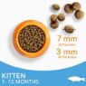Iams Kitten Ocean Fish 2kg