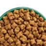 JWB Adult Dog Grain Free Fish & Veg 10kg