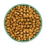 JWB Adult Dog Lamb & Rice 15kg