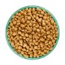 JWB Adult Dog Small Breed Grain Free Turkey & Veg 7.5kg