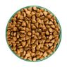 JWB Adult Dog Superfoods Turkey, Kale & Quinoa 1.5kg
