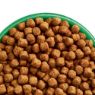 JWB Adult Dog Turkey & Rice 2kg