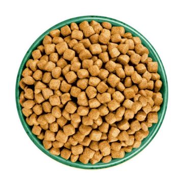 JWB Cat Oral Health Adult Turkey & Rice 1.5kg x 1