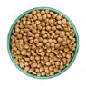 JWB Puppy / Junior Grain Free Turkey & Veg 1.5kg