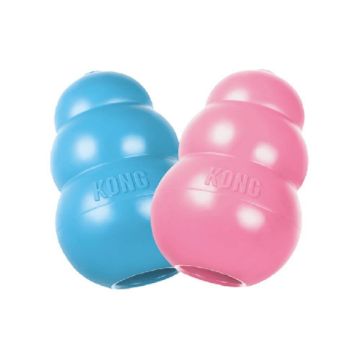 KONG Puppy Medium x 1