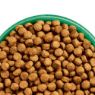 JWB Adult Dog Chicken & Rice 2kg