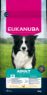 Eukanuba Adult Medium Breed Chicken 12kg