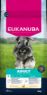 Eukanuba Adult Small Breed Chicken 12kg