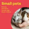 Bob Martin Clear Small Animal Spot-On Flea Tick & Mite Treatment x 1