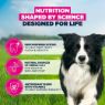 Eukanuba Senior Medium Breed Chicken 12kg