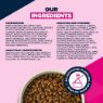 Eukanuba Senior Small Breed Chicken 12kg