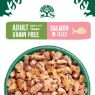 JWB Senior Cat Pouch Grain Free Salmon Jelly 85g x 12