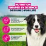 Eukanuba Mature Medium Chicken 3kg