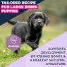 Eukanuba Puppy Large Breed Chicken 3kg
