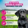 Eukanuba Puppy Large Breed Chicken 3kg