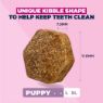Eukanuba Puppy Large Breed Chicken 3kg