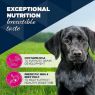 Eukanuba Puppy Cans Turkey & Carrot 400g x 6