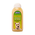Johnson's Tea Tree Shampoo 400ml x 3