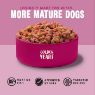 Barking Heads Dog Pouch All Hounder Golden Years 300g x 10