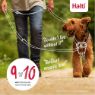 Halti Nylon Training Lead Large Burnt Orange 25mm x 2m x 1