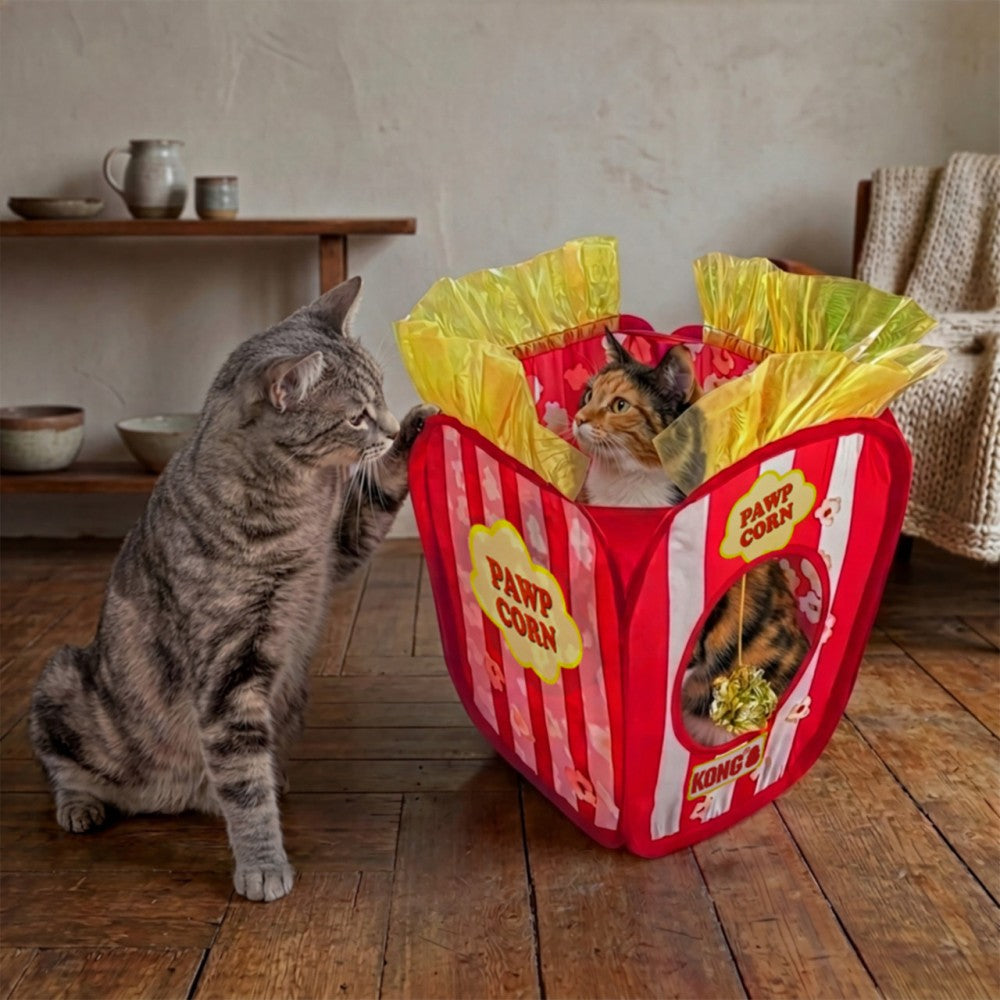 KONG Cat Play Spaces Pawpcorn x 1
