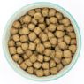 Burns Dog Weight Control 2kg