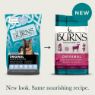 Burns Original Adult Dog Lamb & Brown Rice 12kg