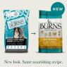 Burns Original Adult Large & Giant Dog Chicken & Brown Rice 12kg