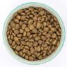 Burns Puppy Mini Chicken & Rice 2kg