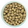 Burns Sensitive Dog Pork & Potato 12kg