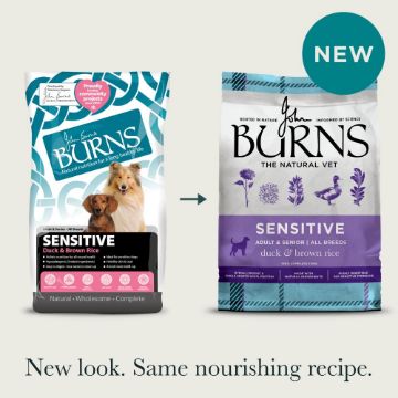 Burns Sensitive Grain Free Adult Dog Duck & Potato 6kg