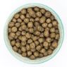 Burns Sensitive Grain Free Adult Dog Duck & Potato 6kg