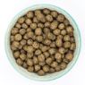 Burns Sensitive Grain Free Adult Dog Duck & Potato 12kg