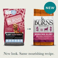 Burns Dog Alert Assistance Lamb & Brown Rice 12kg