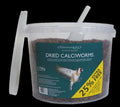 J&J Dried Calcilworms 1.6kg TUB x 1