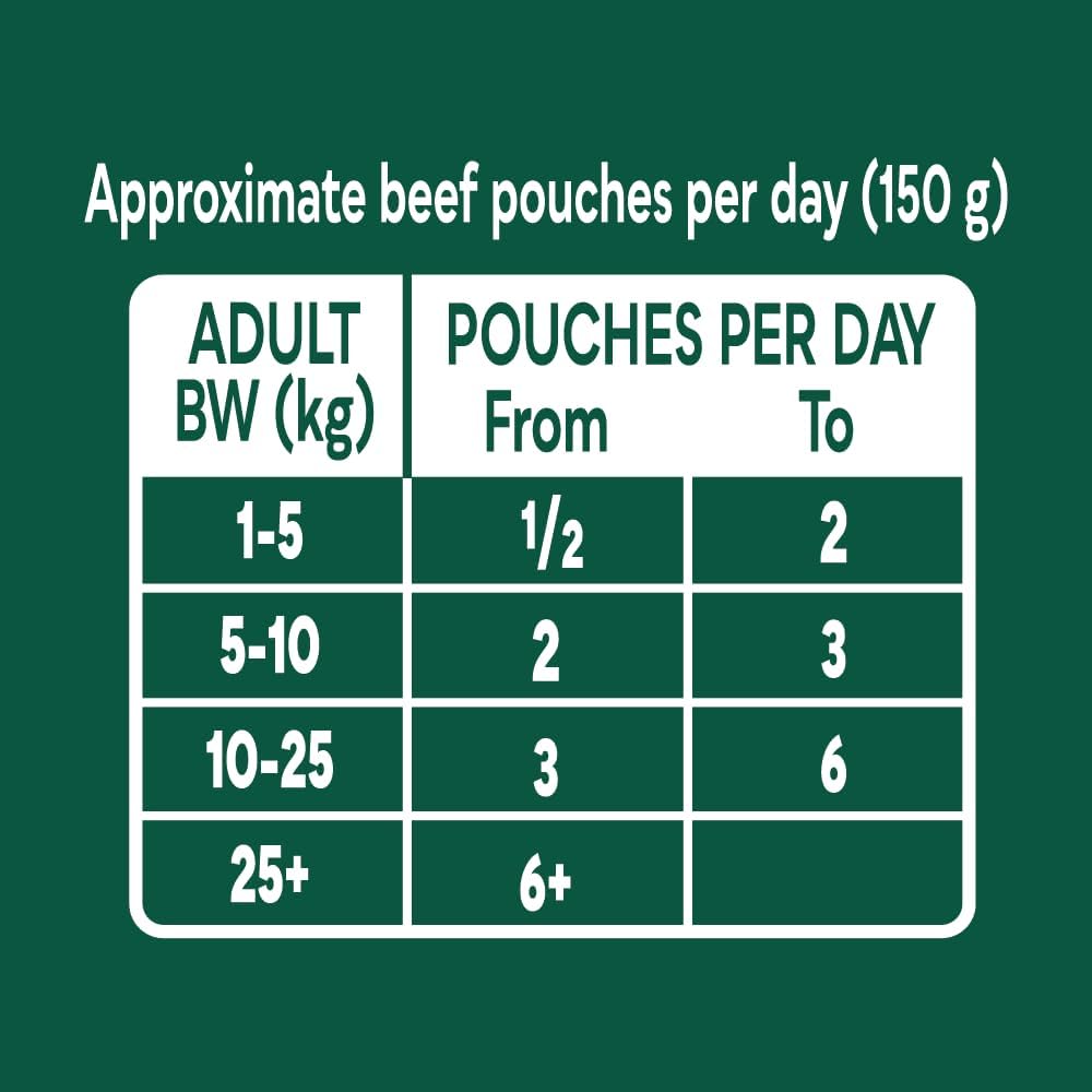 Country Hunter Natures Menu Superfood Selection Pouches for Dogs (12x 150 g)