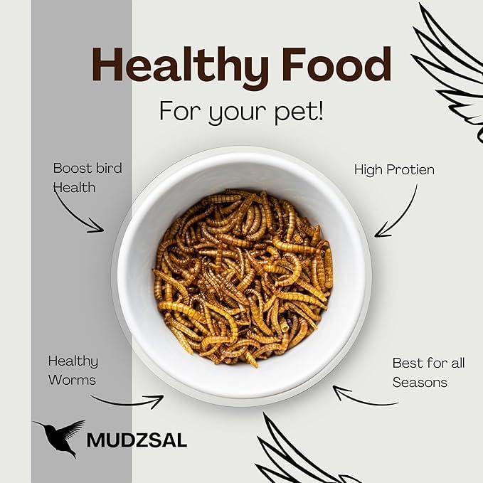 Mealworms Bag for Wild Birds – Natural High-Protein, High-Energy Feed, Mess-Free Food for All Bird Species