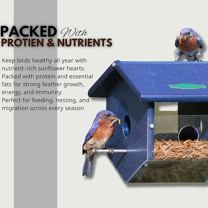 Mealworms Bag for Wild Birds – Natural High-Protein, High-Energy Feed, Mess-Free Food for All Bird Species