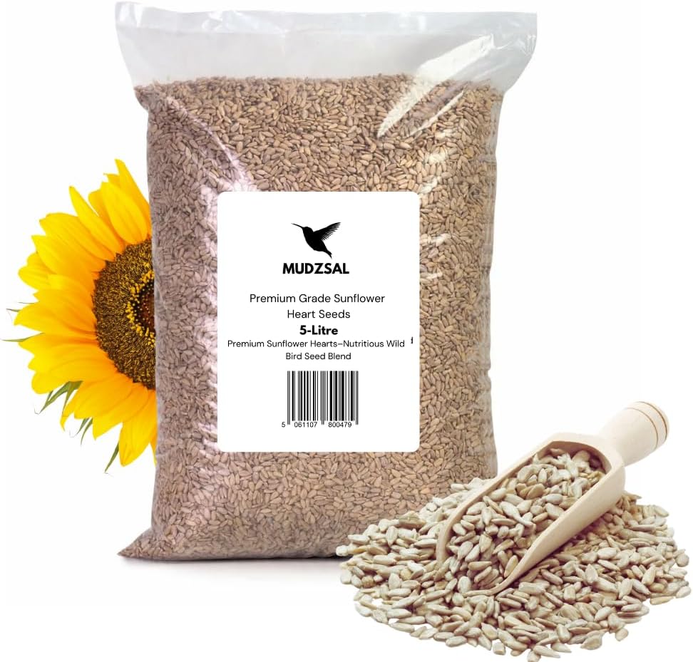 Premium Sunflower Heart Seeds Wild Bird Food – High Energy, No Mess Bird Feed