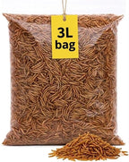 Premium 3-Litre Mealworms Bag for Wild Birds – Natural High-Protein, High-Energy Feed, Mess-Free Food for All Bird Species