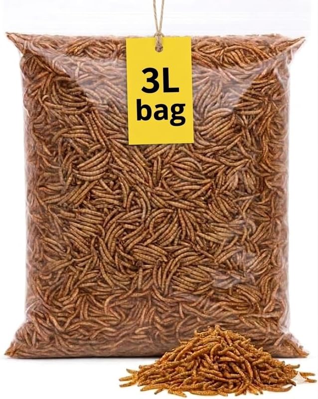 Premium 3-Litre Mealworms Bag for Wild Birds – Natural High-Protein, High-Energy Feed, Mess-Free Food for All Bird Species